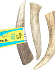 Whole Elk Antlers for Dogs | Elk Antlers at HotSpot Pets