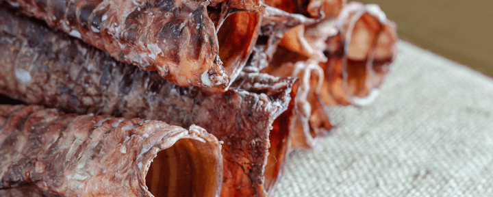Are beef trachea chews good for dogs? | HotSpot Pets