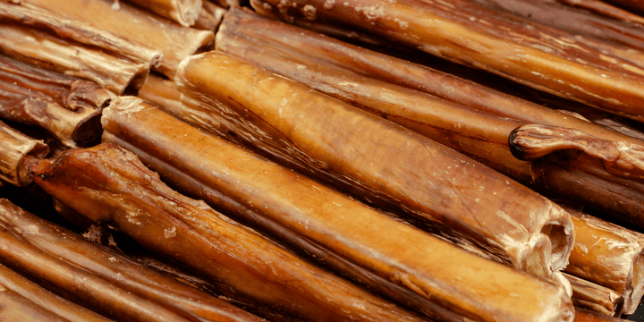 Are bully sticks good for dogs? | HotSpot Pets
