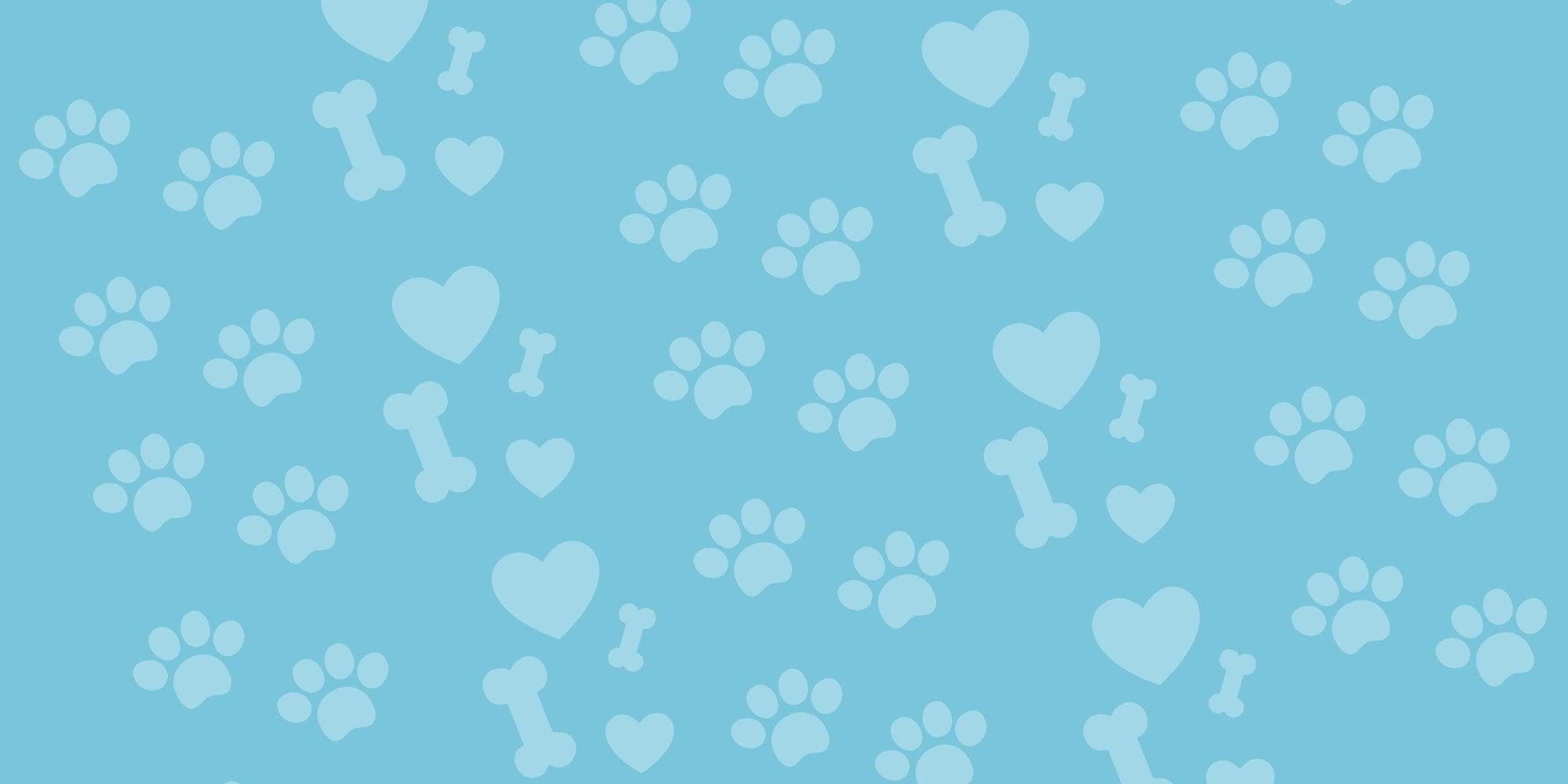 Collagen Chews at HotSpot Pets