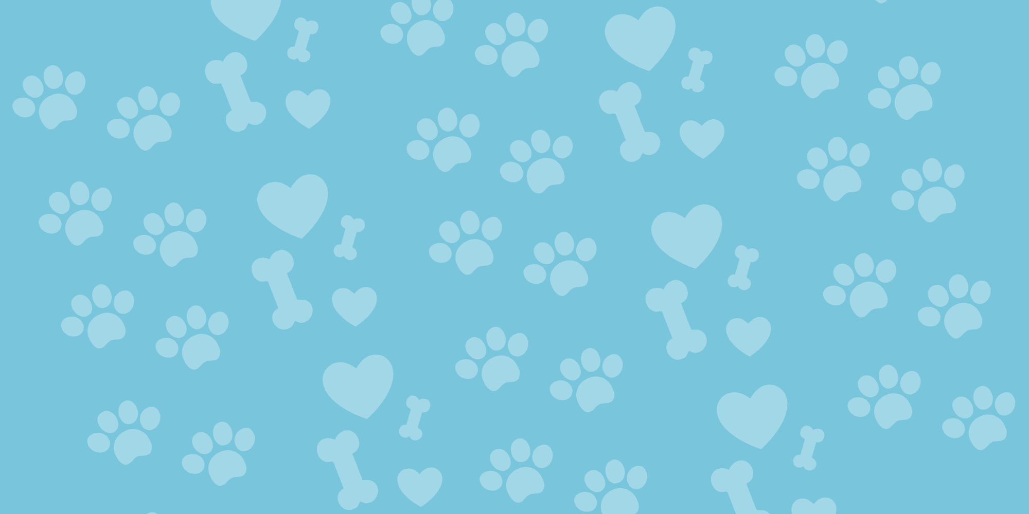 Gulet & Beef Chews at HotSpot Pets