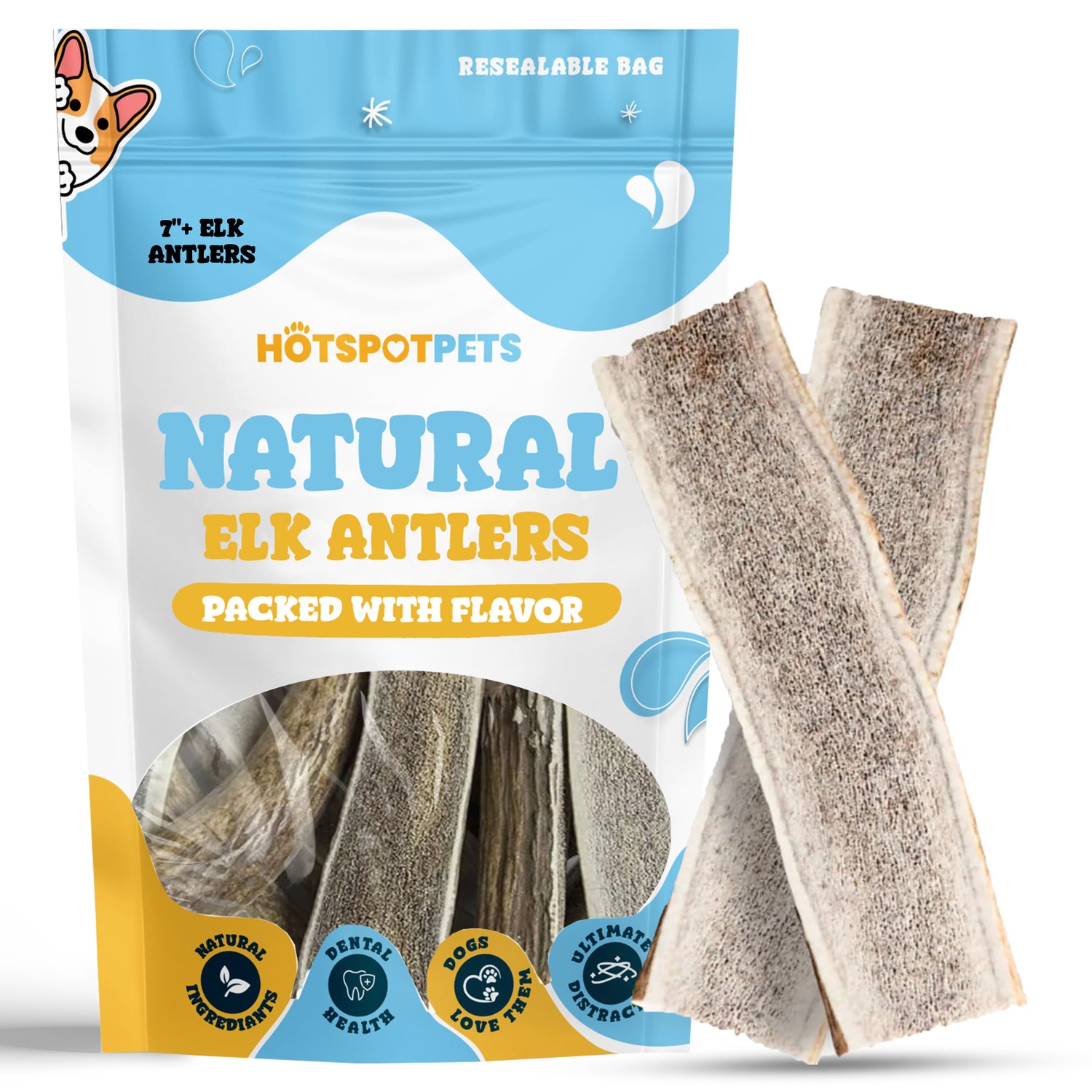Antlers Chews for Dogs : Premium USA Made – Hotspot Pets