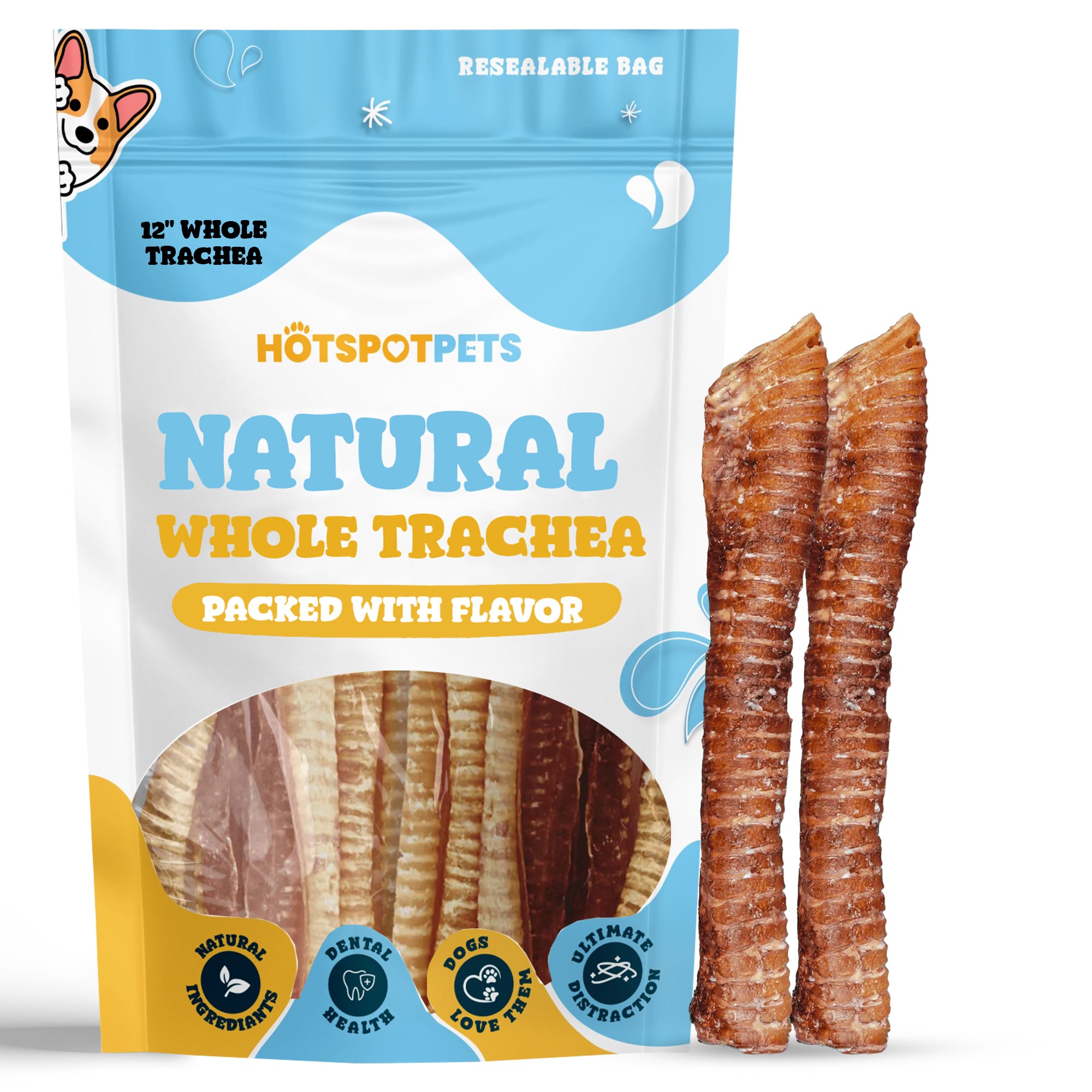 12&quot; Whole Beef Trachea Tube Chews for Large &amp; X-Large Dogs