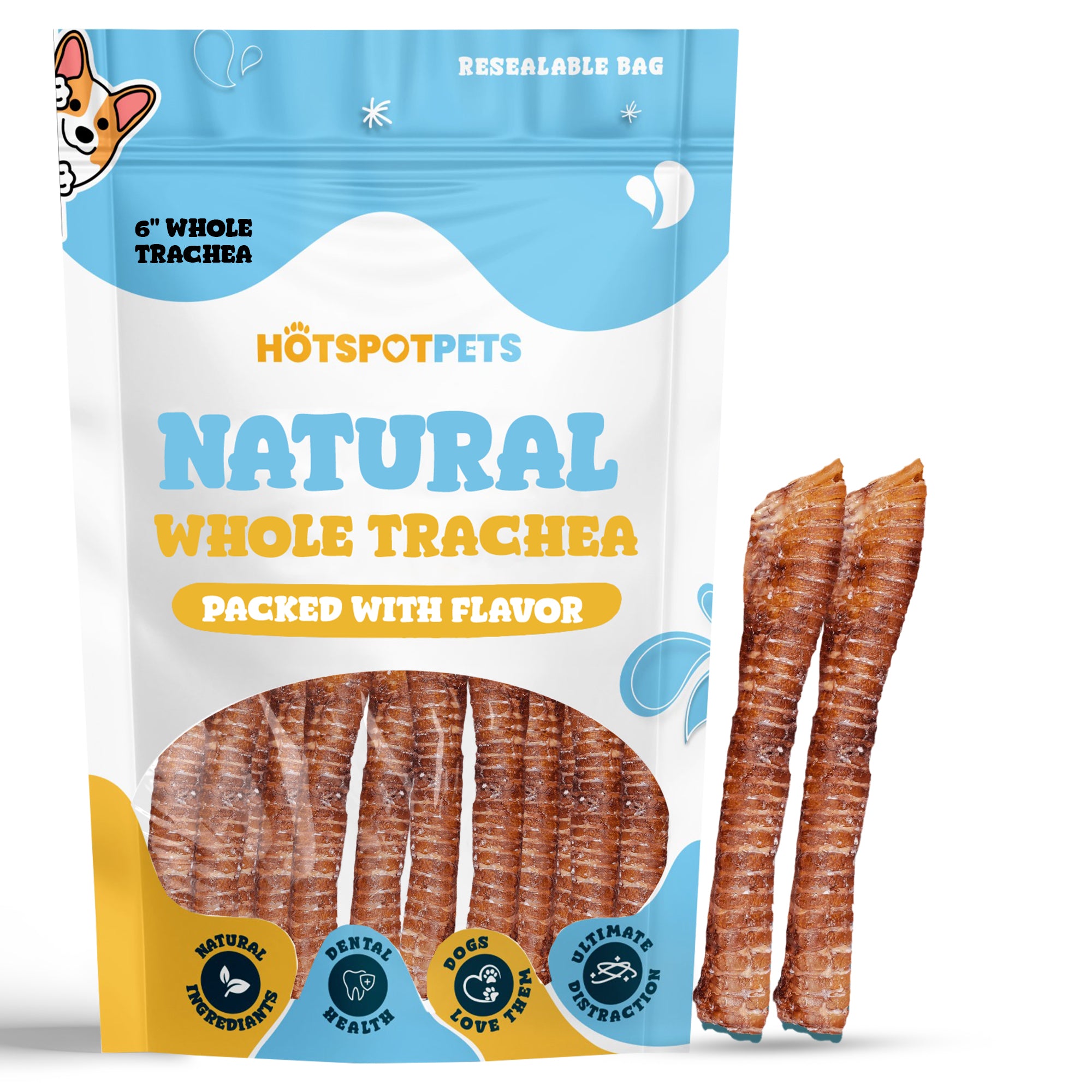 6&quot; Whole Beef Trachea Chews for Small &amp; Medium Dogs