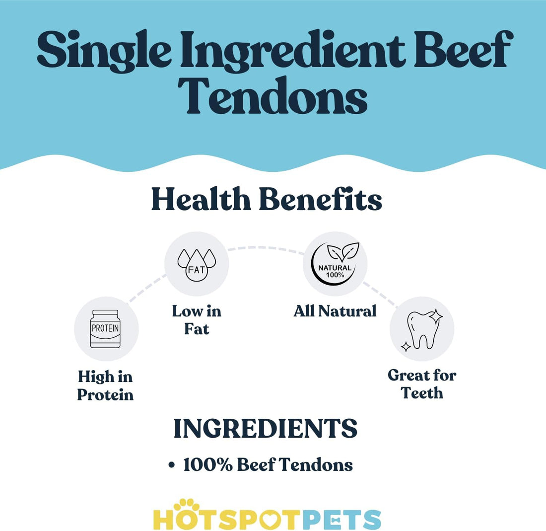6" to 8" Beef Tendon Chews for Dogs