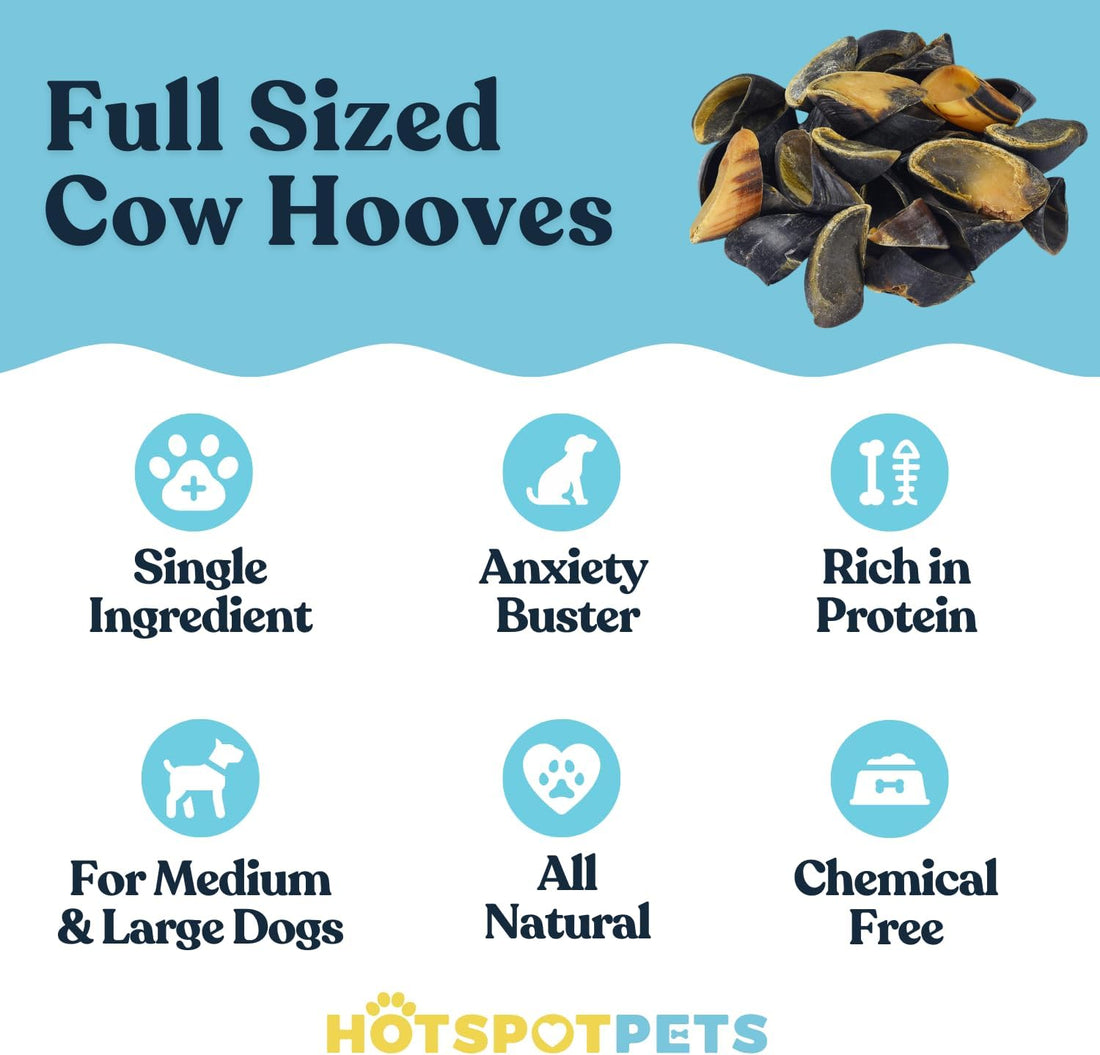 Whole Cow Hooves for Small, Medium & Large Dogs