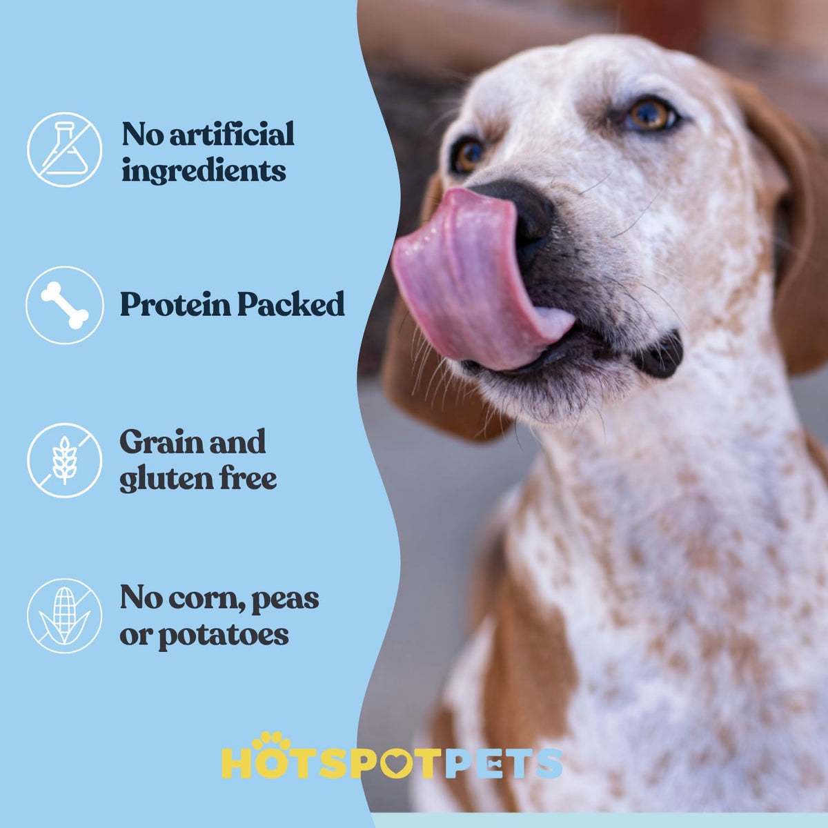 Freeze-Dried Minnows for Cats &amp; Dogs – 100% Natural Single Ingredient Snack – High Protein, Grain-Free, Raw Diet Dog Treats – Omega-3 Fish – No Additives or Preservatives Minnows for Cats (2 Ounce)