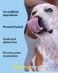 Freeze-Dried Minnows for Cats & Dogs – 100% Natural Single Ingredient Snack – High Protein, Grain-Free, Raw Diet Dog Treats – Omega-3 Fish – No Additives or Preservatives Minnows for Cats (2 Ounce)