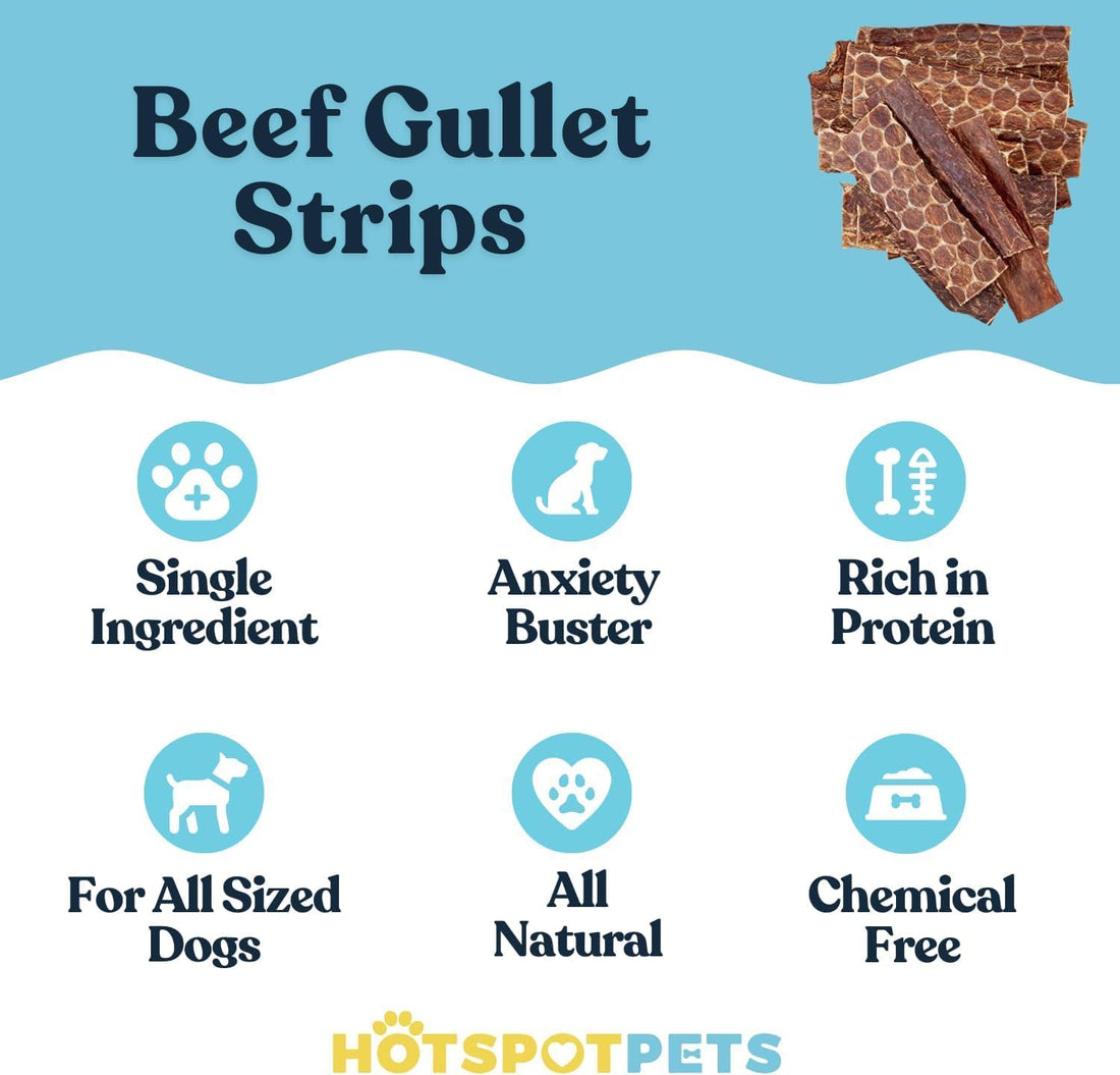 6" Beef Esophagus Gullet Treats for Small & Medium Dogs