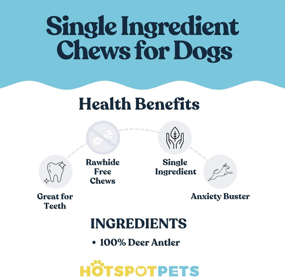 All-Natural Deer Antlers for Dogs