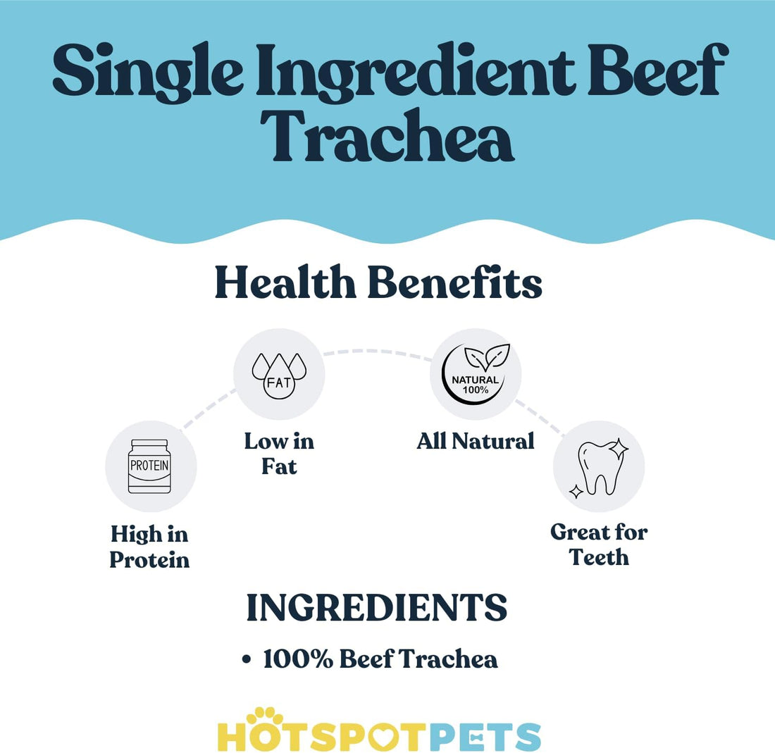 6" Split Beef Trachea Strips for Small & Medium Dogs