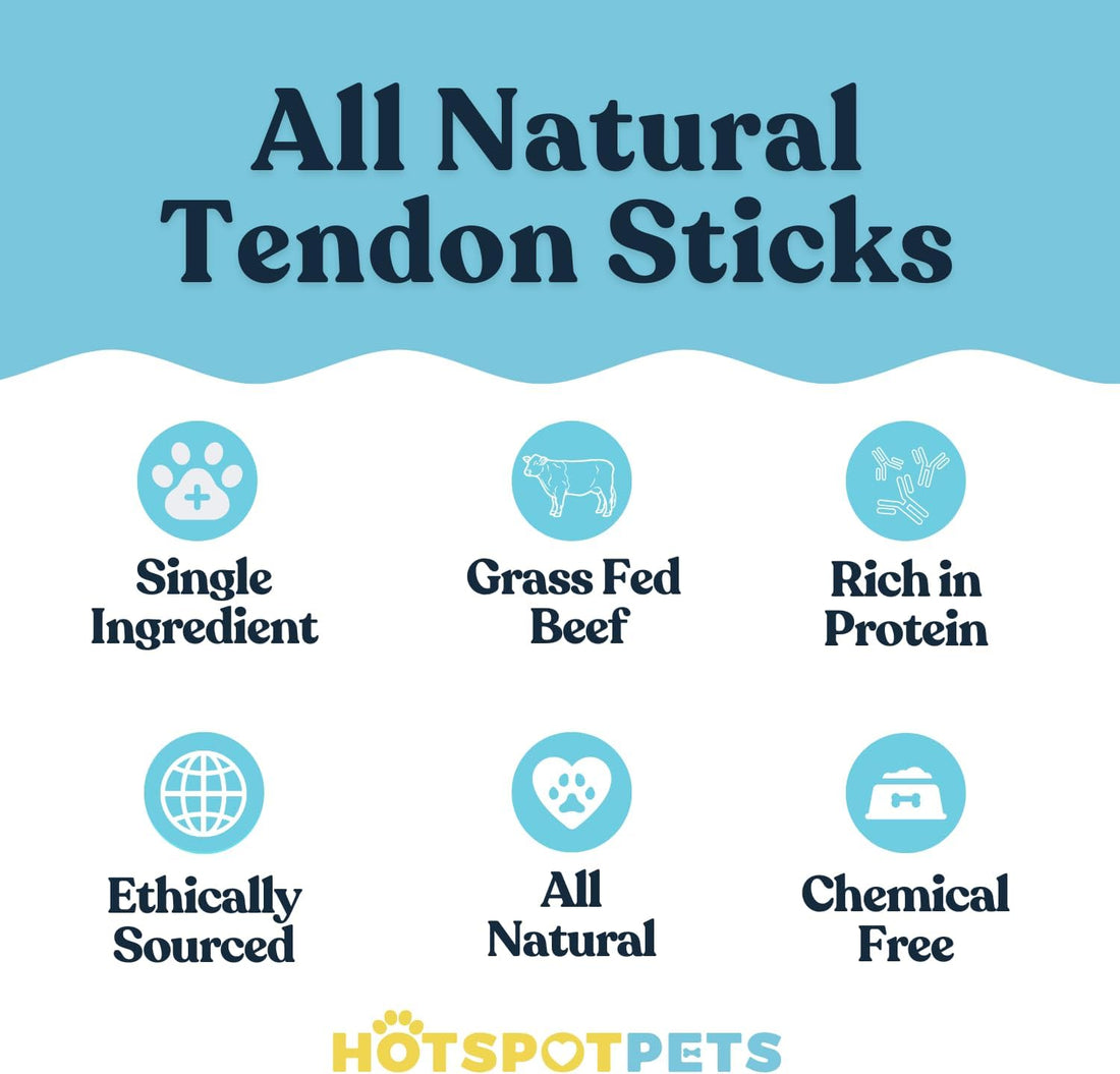 6" to 8" Beef Tendon Chews for Dogs