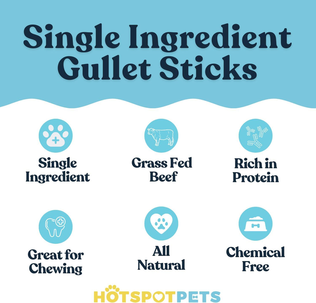 6" Beef Esophagus Gullet Sticks for Small & Medium Dogs