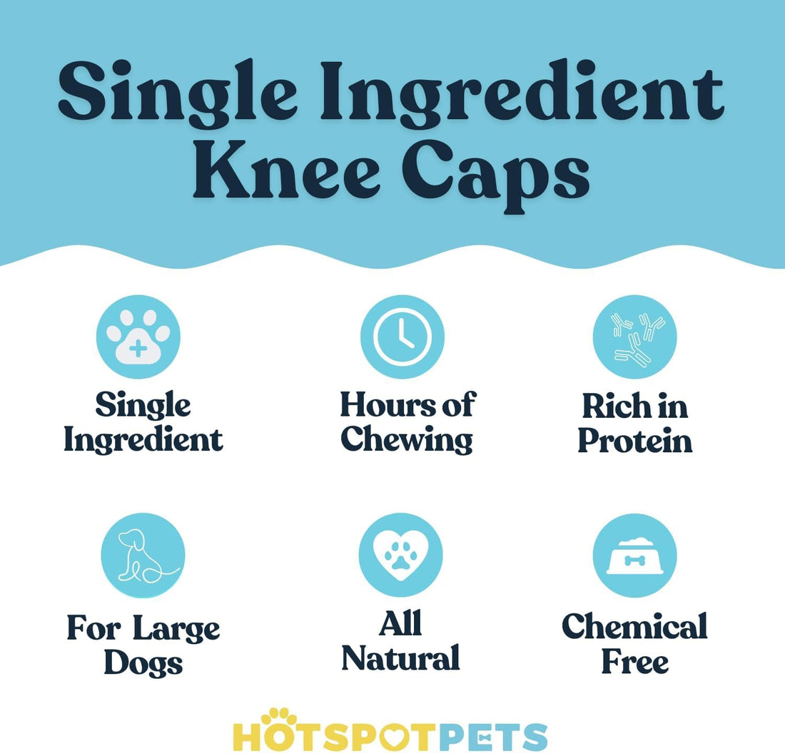 Meaty Beef Knee Cap Bones for Dogs