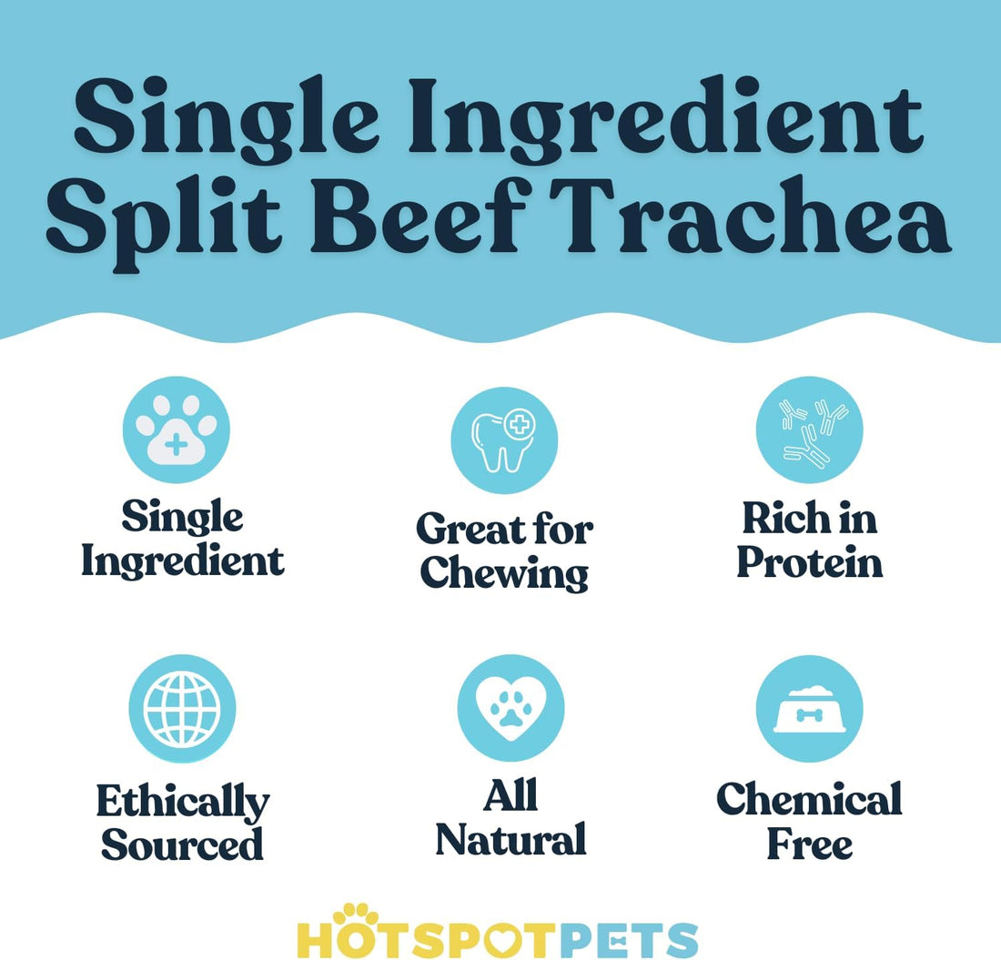 6" Split Beef Trachea Strips for Small & Medium Dogs