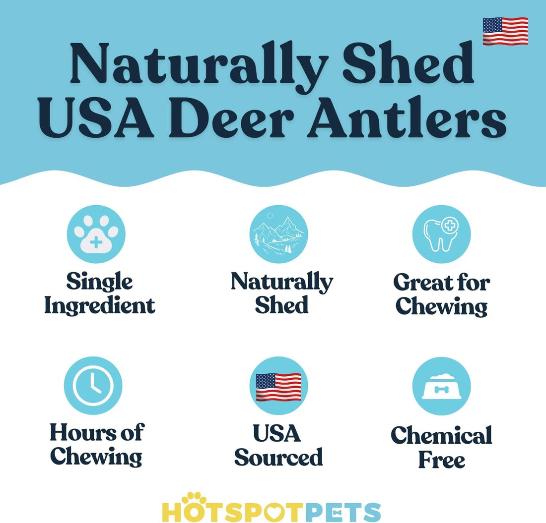 All-Natural Deer Antlers for Dogs