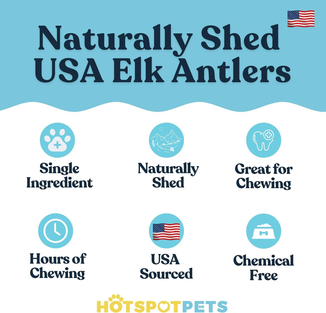 Split Elk Antlers for Small Dogs