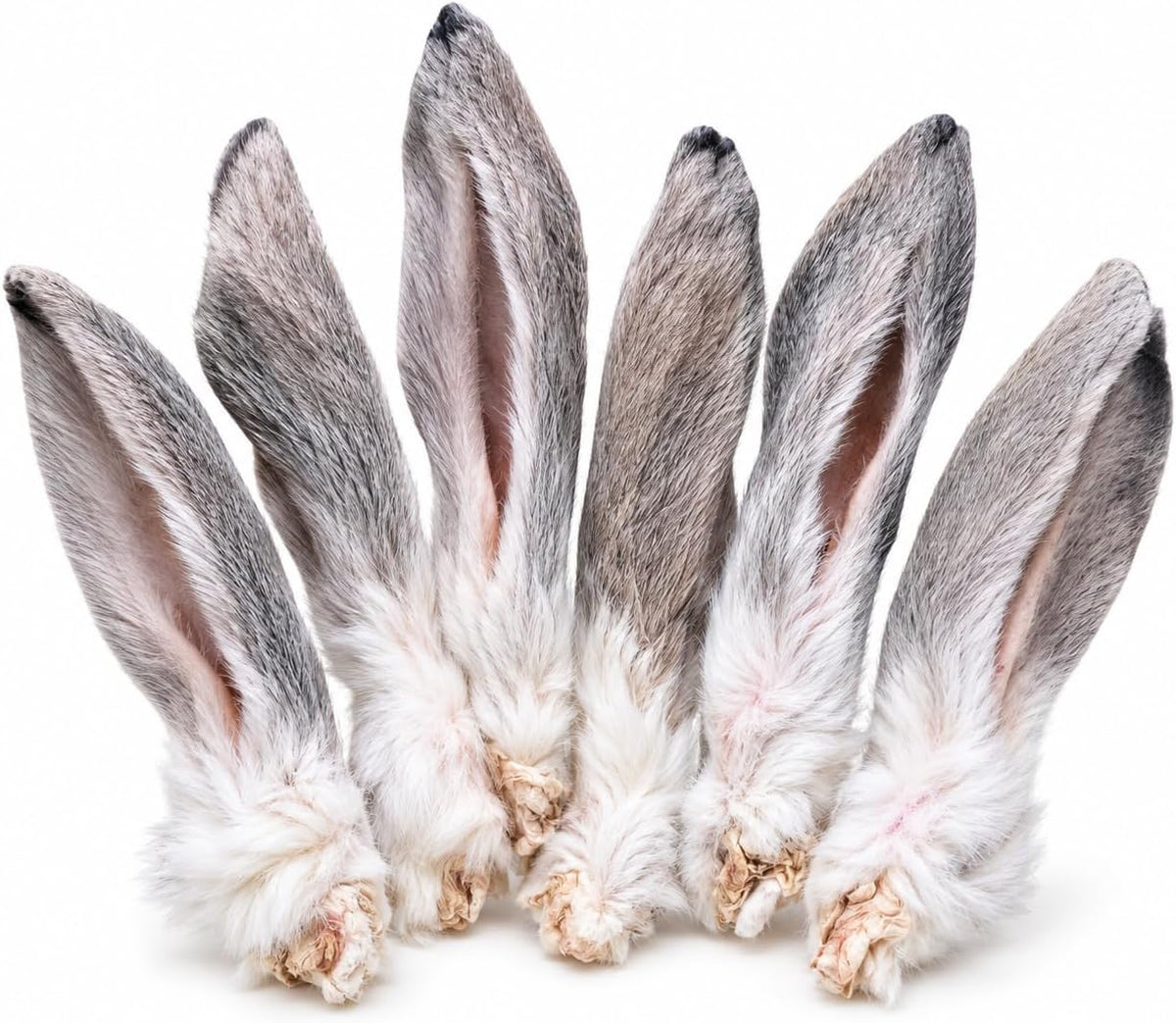 Freeze-Dried Rabbit Ears for Dogs (12-15 Ears) Single-Ingredient Treats, Rawhide-Free Natural Dog Chews with Fur – Novel Protein, Grain-Free, No Additives
