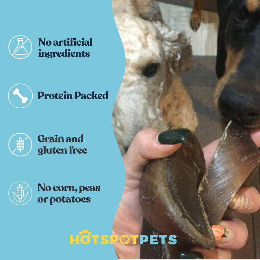 Whole Cow Hooves for Small, Medium & Large Dogs