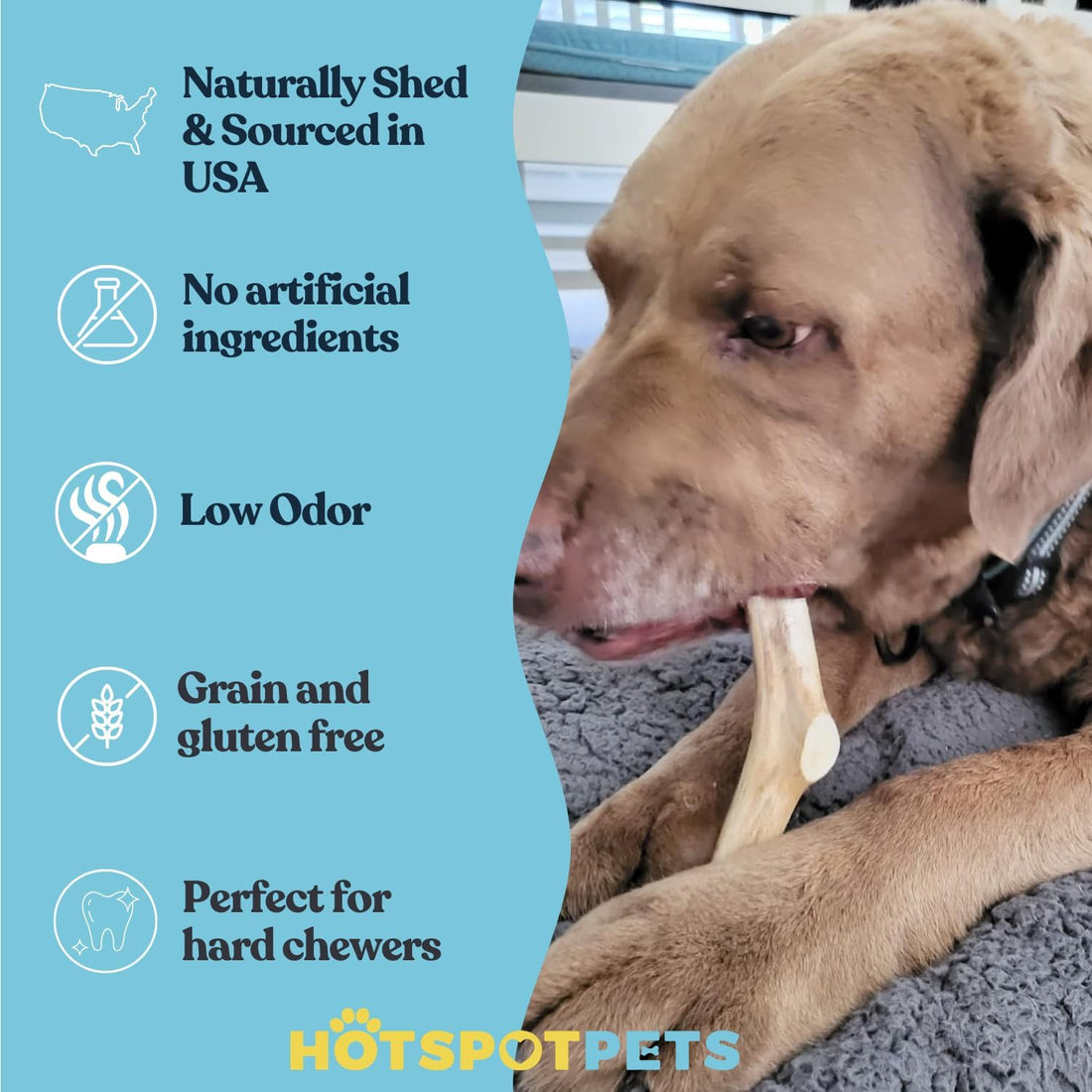 All-Natural Deer Antlers for Dogs
