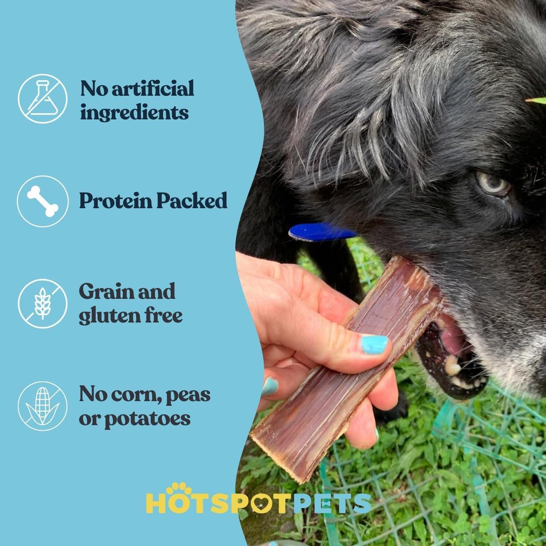 6" Beef Esophagus Gullet Treats for Small & Medium Dogs