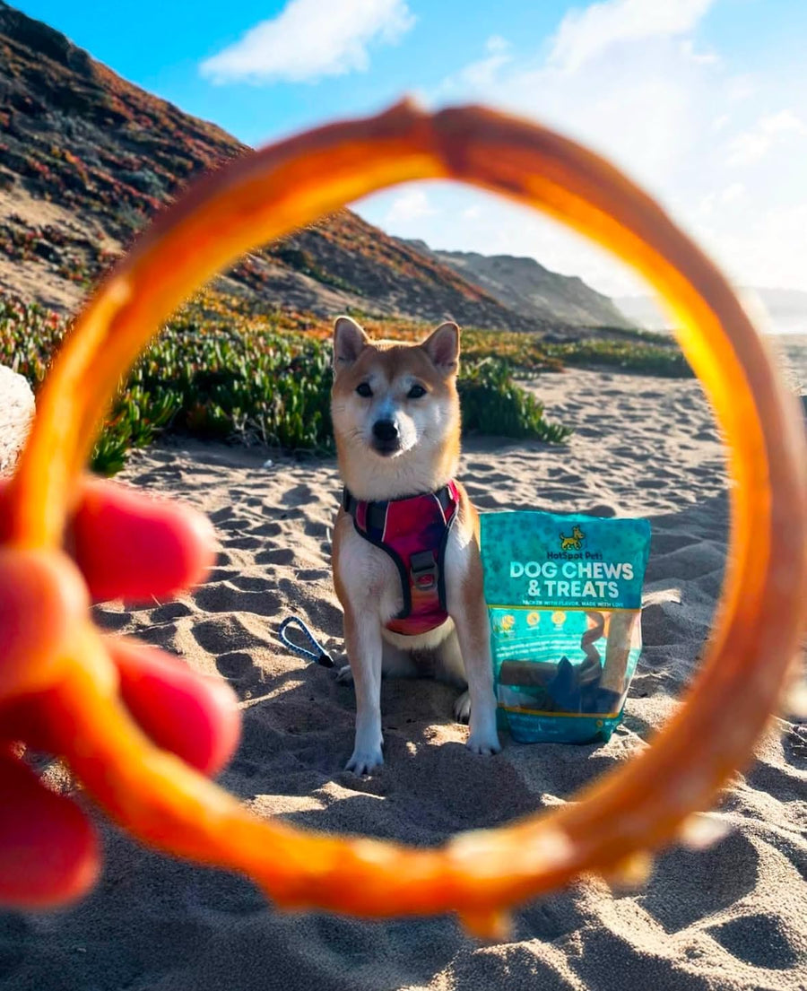 4" Bully Stick Rings for Small, Medium & Large Dogs