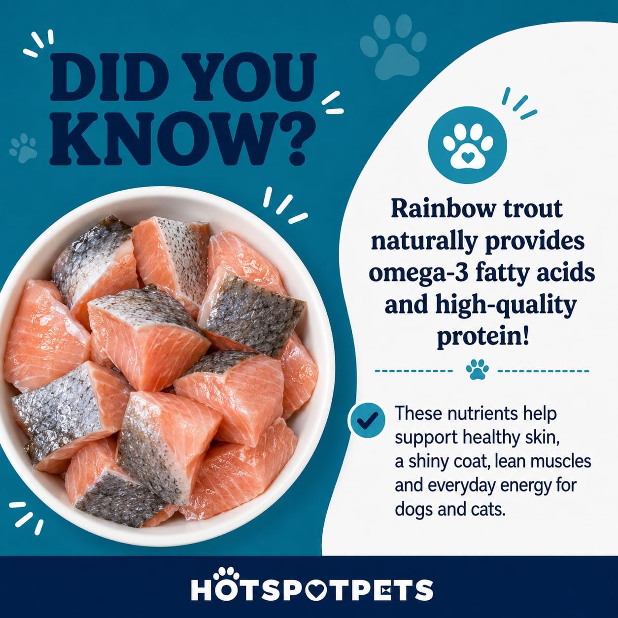 hotspot pets Freeze Dried Rainbow Trout Treats for Cats &amp; Dogs - Made in USA (1 Pound Value Bag) Single Ingredient, High Protein, All Natural, Grain-Free - Perfect for Training, Topper or Snack