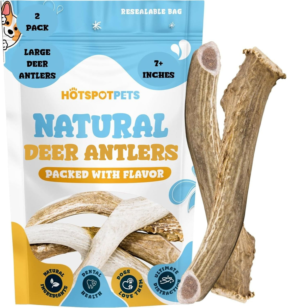 All-Natural Deer Antlers for Dogs