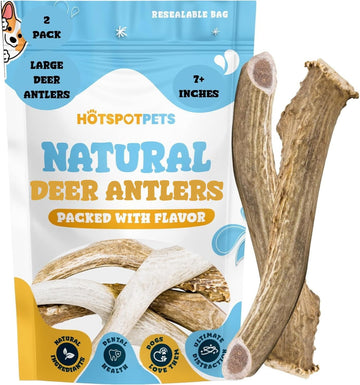 All-Natural Deer Antlers for Dogs