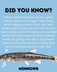 Freeze-Dried Minnows for Cats & Dogs – 100% Natural Single Ingredient Snack – High Protein, Grain-Free, Raw Diet Dog Treats – Omega-3 Fish – No Additives or Preservatives Minnows for Cats (2 Ounce)