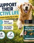 Green Lipped Mussel for Dogs and Cats, 75 Grams (250 Servings) 100% New Zealand Green Lipped Mussels for Hip & Joints, Helps with Arthritis, Joint Pain Relief