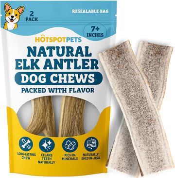 Split Elk Antlers for Large Dogs
