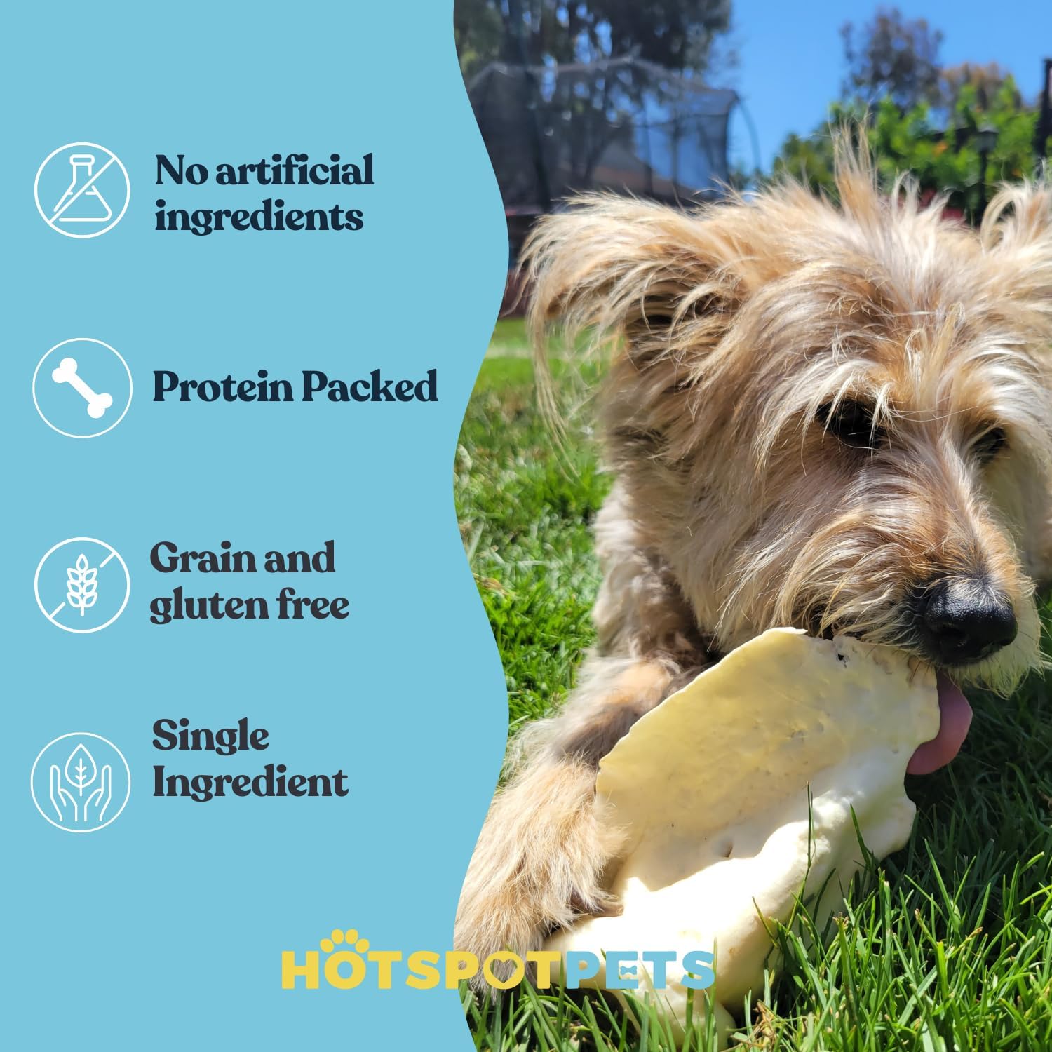 All-Natural Cow Ear Chews for Dogs