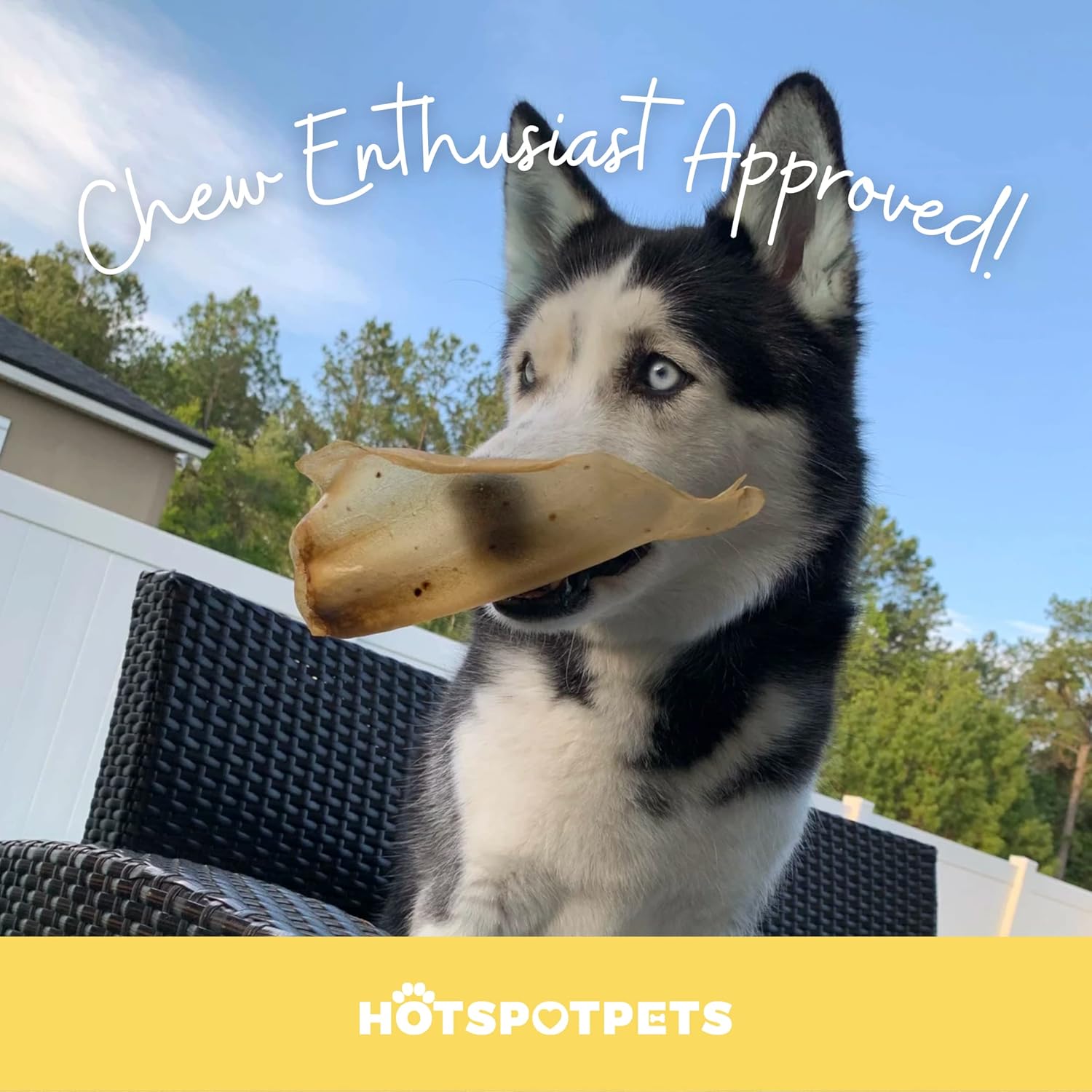 All-Natural Cow Ear Chews for Dogs