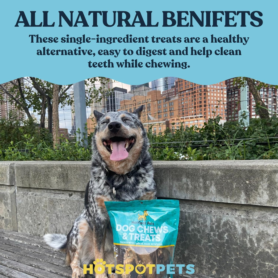 All-Natural Roasted Beef Lung Treats for Dogs