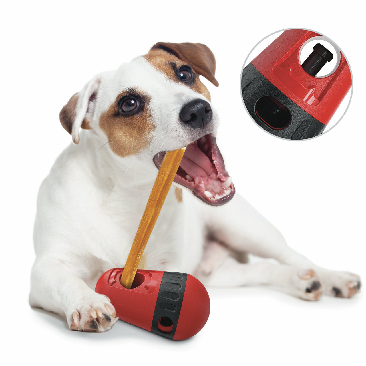 Bully Stick Holder for Dogs – Durable, &amp; Safe  – Fits Most Bully Sticks &amp; Dog Treats