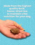 Freeze Dried Duck Hearts for Dogs & Cats | Freeze Dried Treats at HotSpot Pets