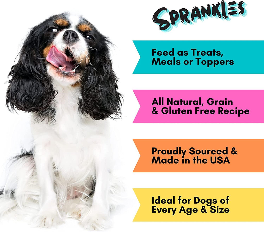 Freeze Dried Raw Meal Toppers For Dogs, Beef Recipe | Freeze Dried Treats at HotSpot Pets