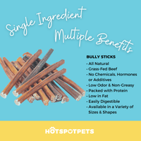 12" Standard Bully Sticks for Large & Extra Large Dogs | Bully Sticks at HotSpot Pets