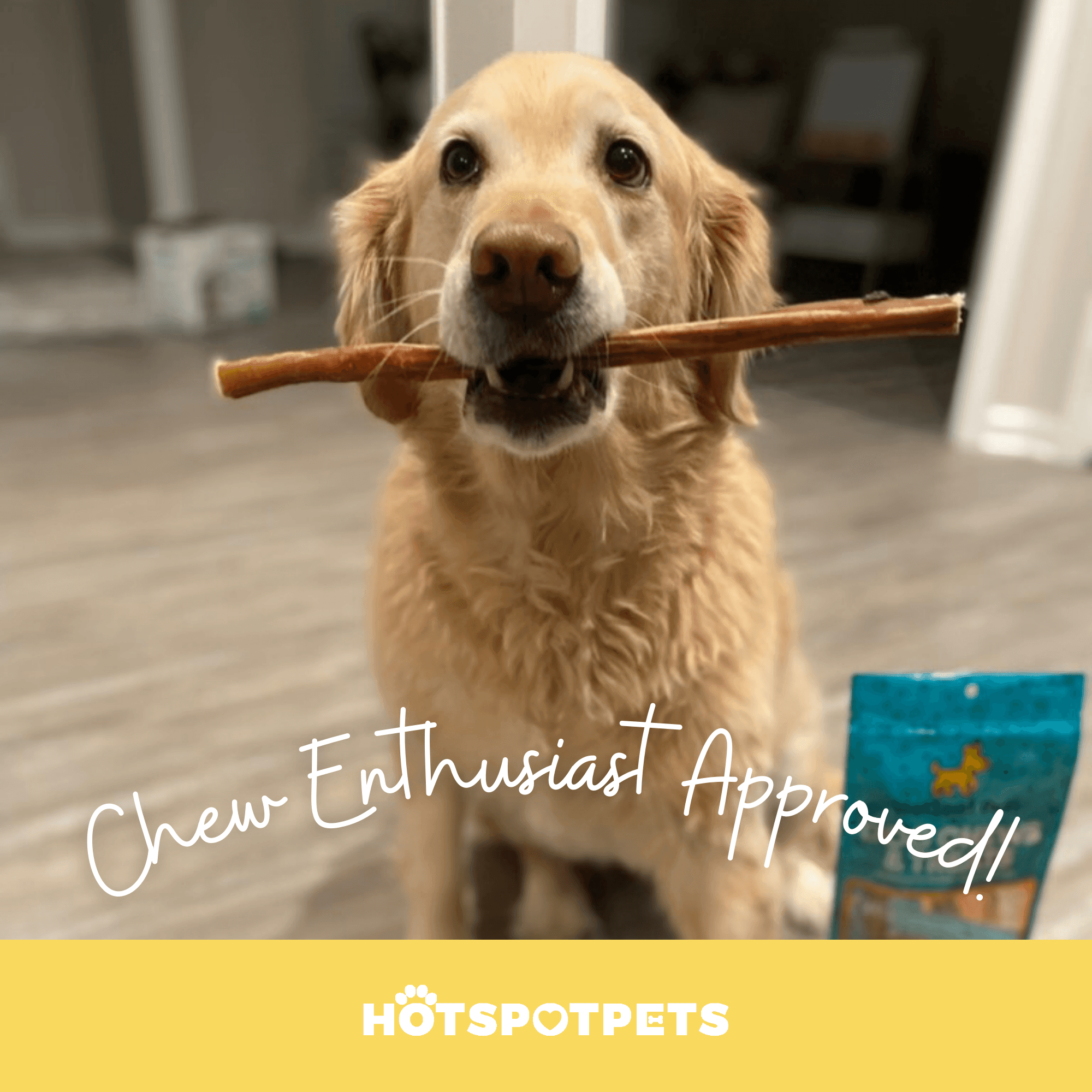 12&quot; Standard Bully Sticks for Large &amp; Extra Large Dogs | Bully Sticks at HotSpot Pets