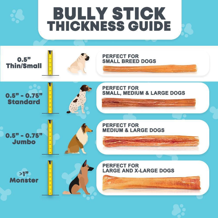 12" Thin Bully Sticks for Large & Extra Large Dogs | Bully Sticks at HotSpot Pets