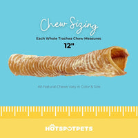 12" Whole Beef Trachea Tube Chews for Large & X-Large Dogs | Trachea Chews at HotSpot Pets