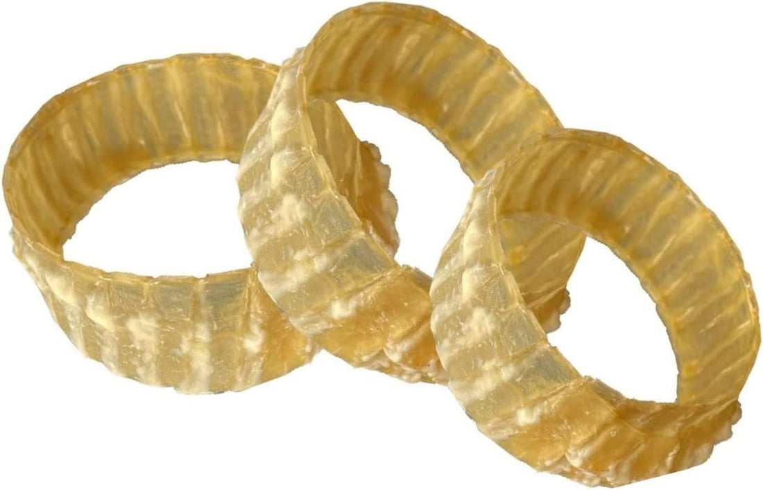 3" to 4" Beef Trachea Rings for All Dog Sizes | Trachea Chews at HotSpot Pets