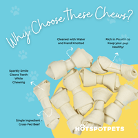 4" Knotted Rawhide Bones for Small Dogs | Rawhide Chews at HotSpot Pets