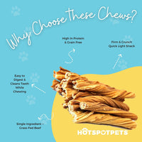 6" Inch Beef Tripe Twists for Small & Medium Dogs | Beef Tripe Twists at HotSpot Pets