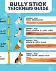 6" Jumbo Bully Sticks for Small & Medium Dogs | Bully Sticks at HotSpot Pets
