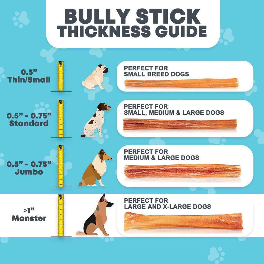 6" Jumbo Bully Sticks for Small & Medium Dogs | Bully Sticks at HotSpot Pets