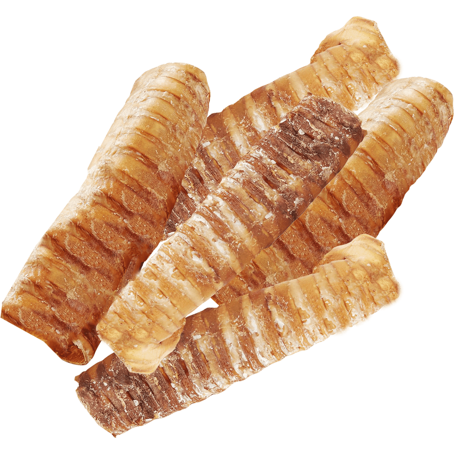 6" Split Beef Trachea Strips for Small & Medium Dogs | Trachea Chews at HotSpot Pets