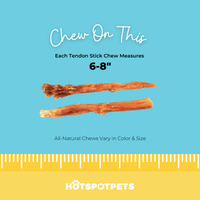 6" to 8" Beef Tendon Chews for Dogs | Tendon Chews at HotSpot Pets