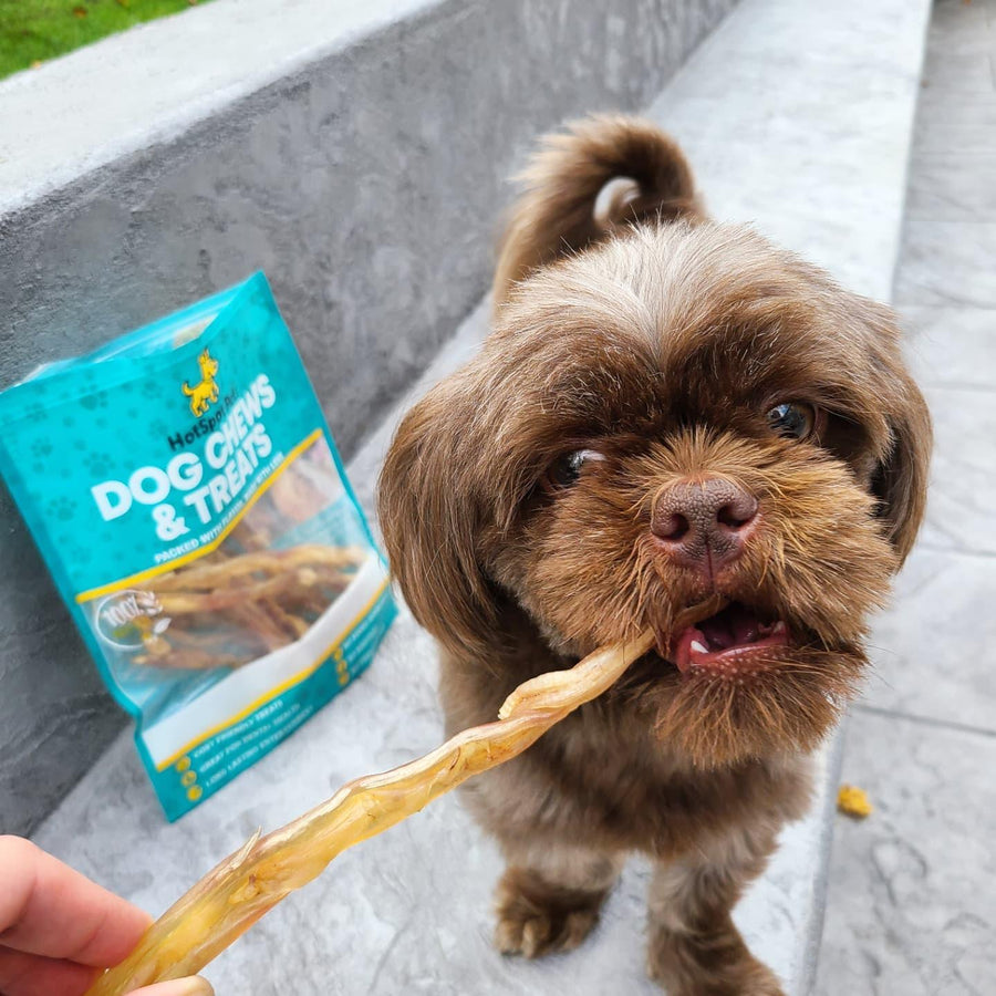 6" to 8" Beef Tendon Chews for Dogs | Tendon Chews at HotSpot Pets
